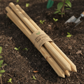 Biodegradable wooden plant stakes pack of 5